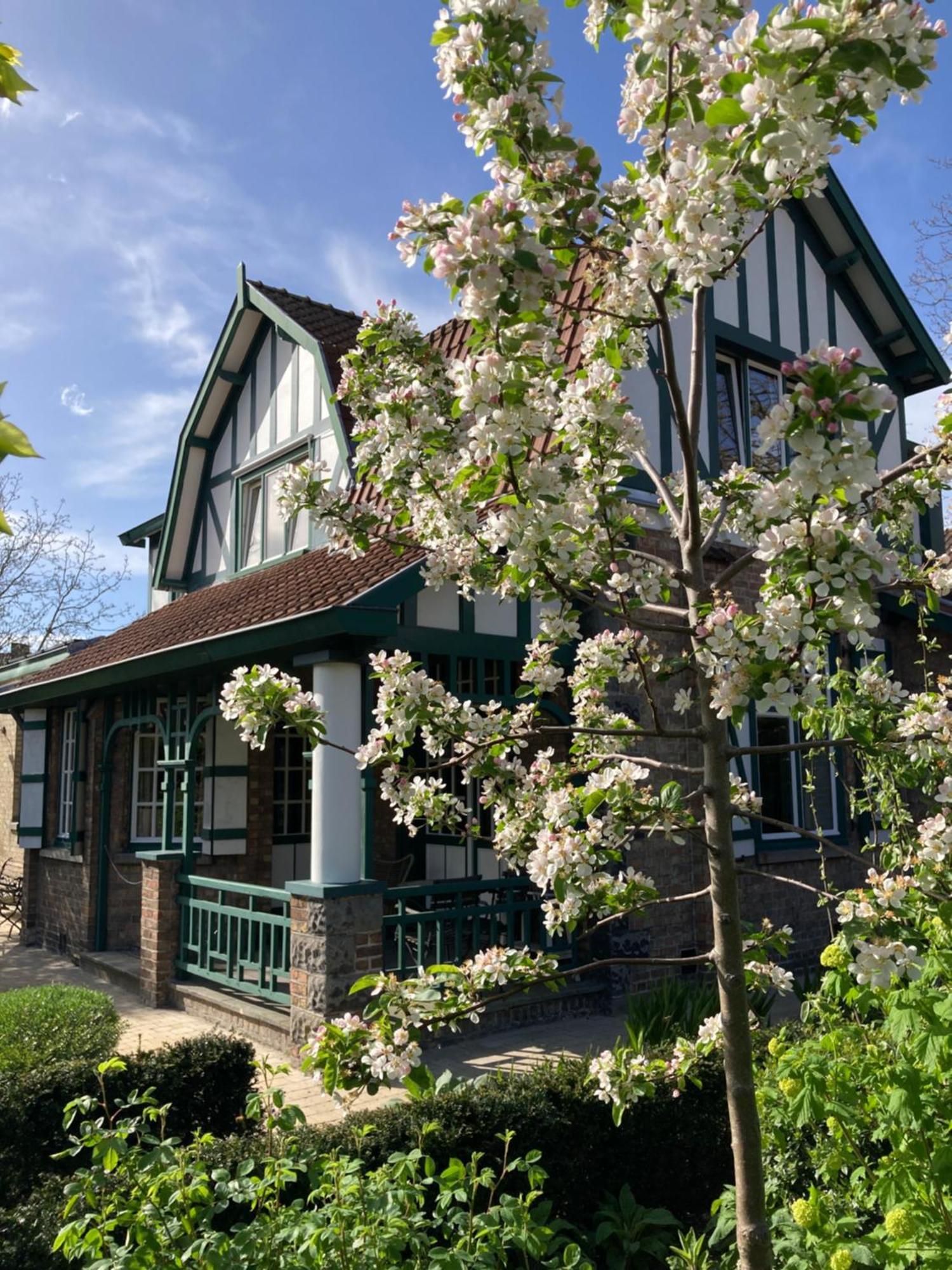 Tree & B Bed & Breakfast Bruges Luaran gambar