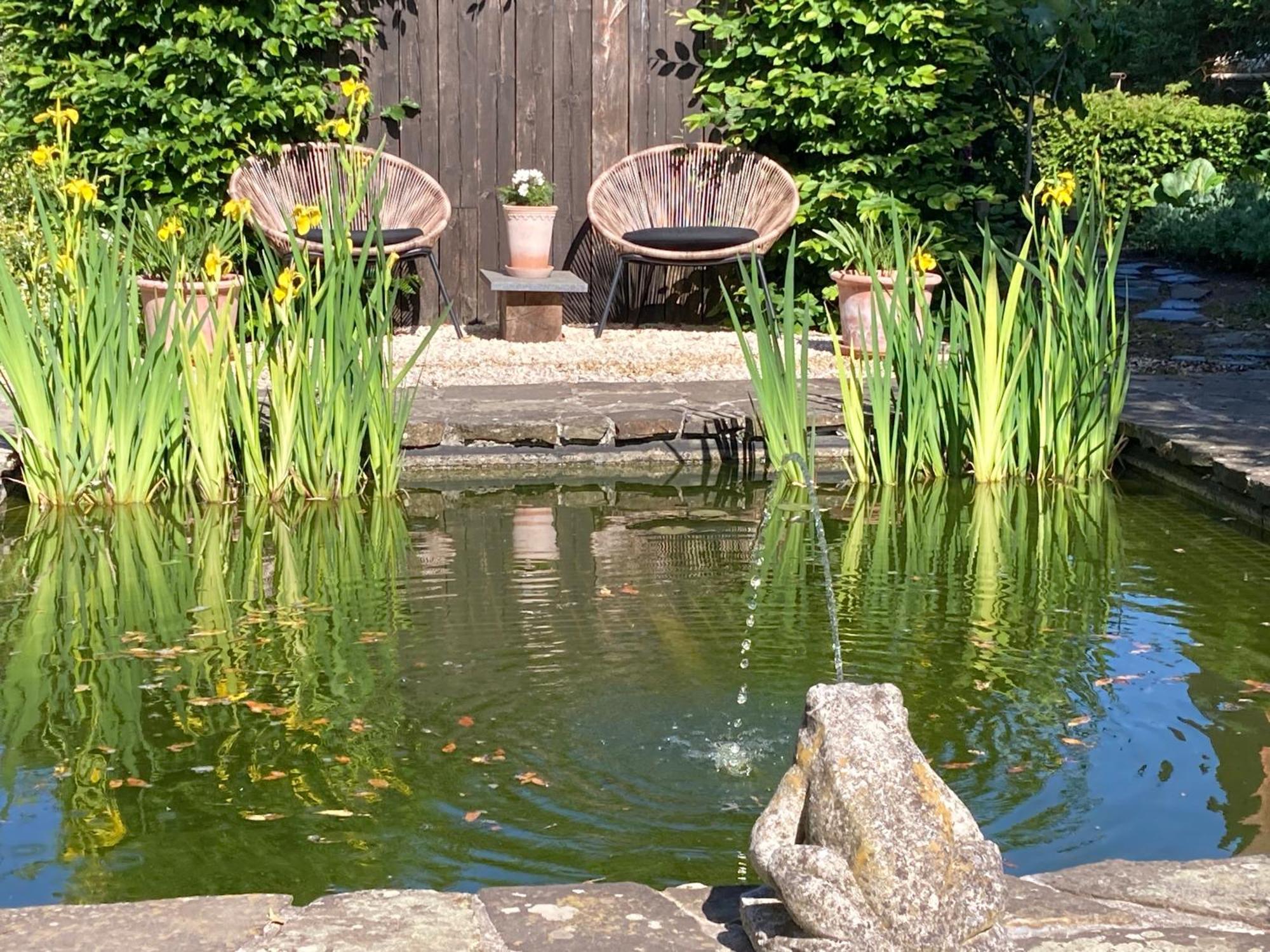 Tree & B Bed & Breakfast Bruges Luaran gambar